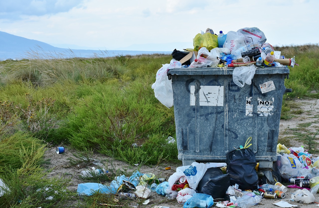 Ways to save the environment and save money!